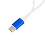 Wholesale Short Type-C USB Charging Cable and 3.5mm Jack AUX Headphone Audio Adapter Dongle 9.5in (Blue)